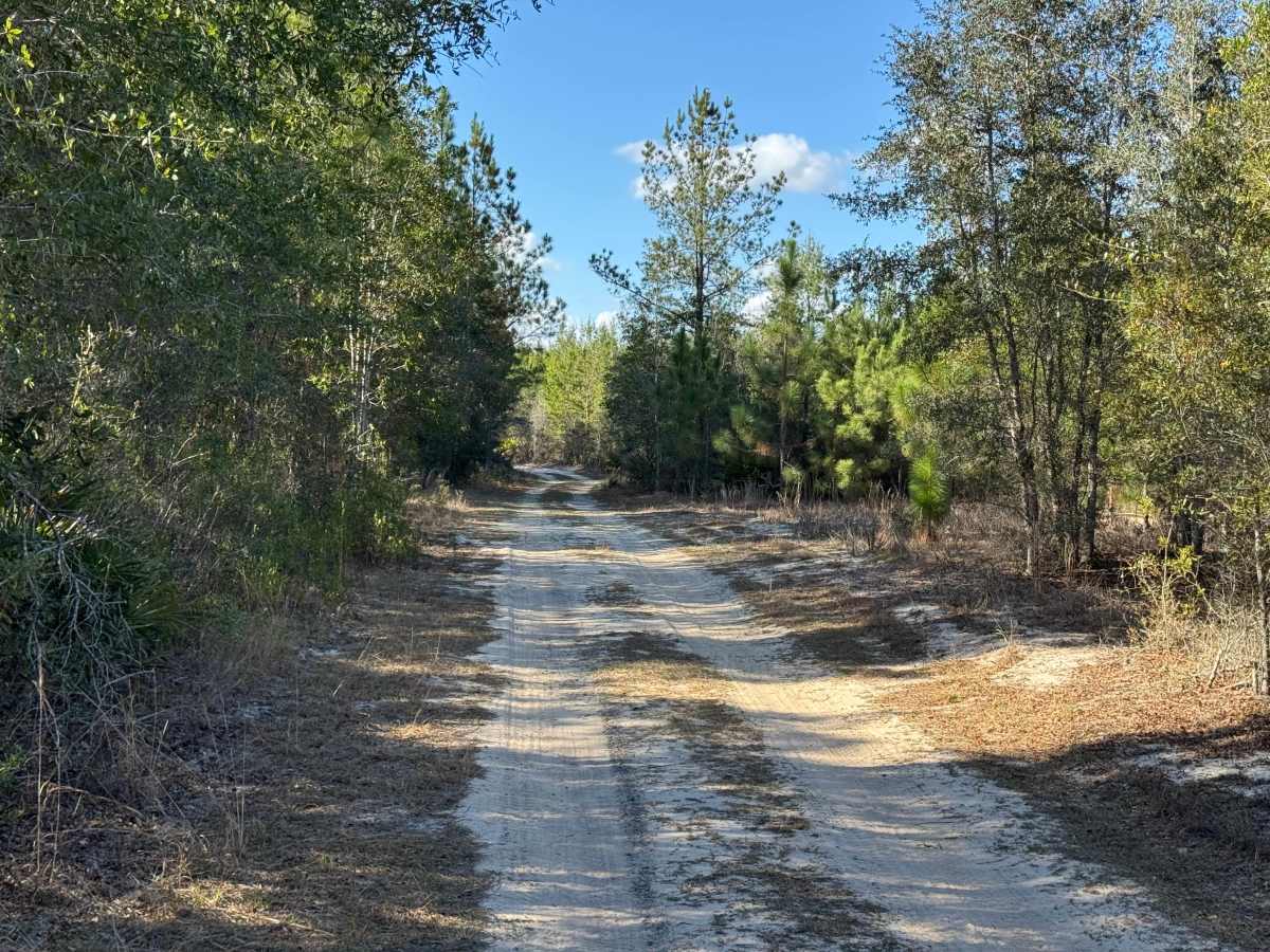 Doe Road photo 6