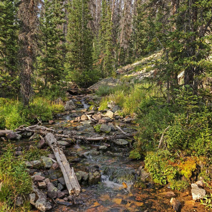 Near Grandaddy Basin Out and Back