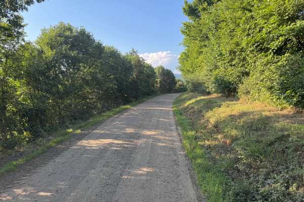 County Road 3271