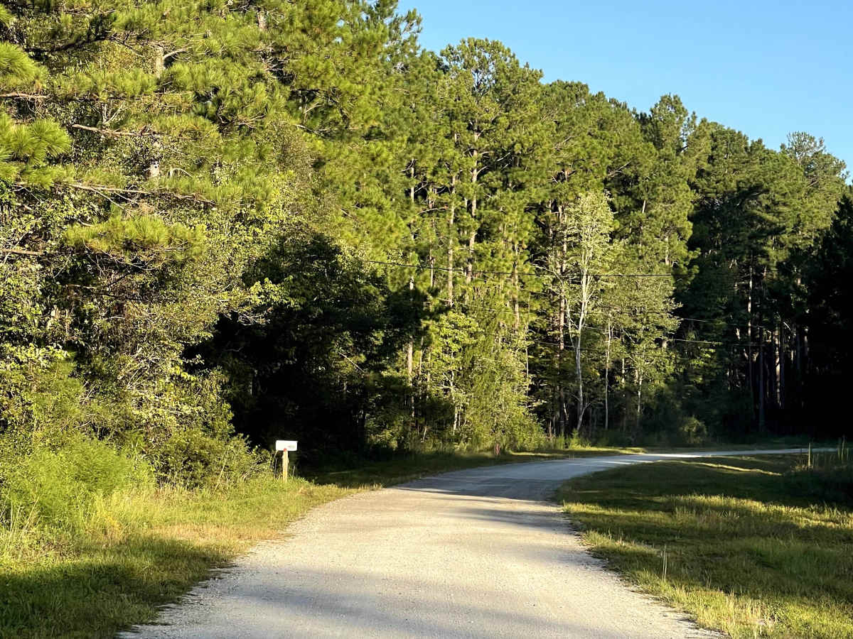 Polaris Road photo 5