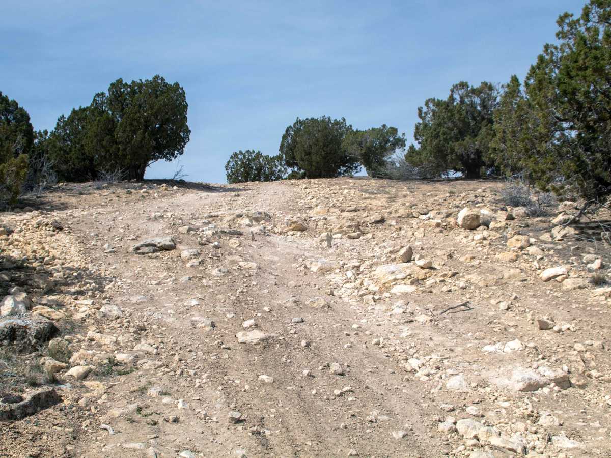 Soldier Pass Spur Trail photo 2