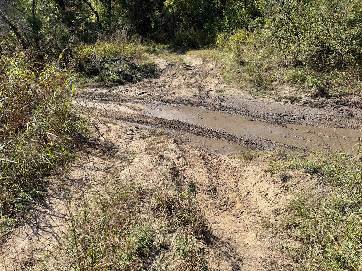 Rattle Trap Run photo 6