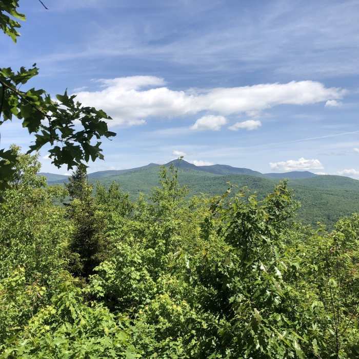 Near Bald Mountain Trail