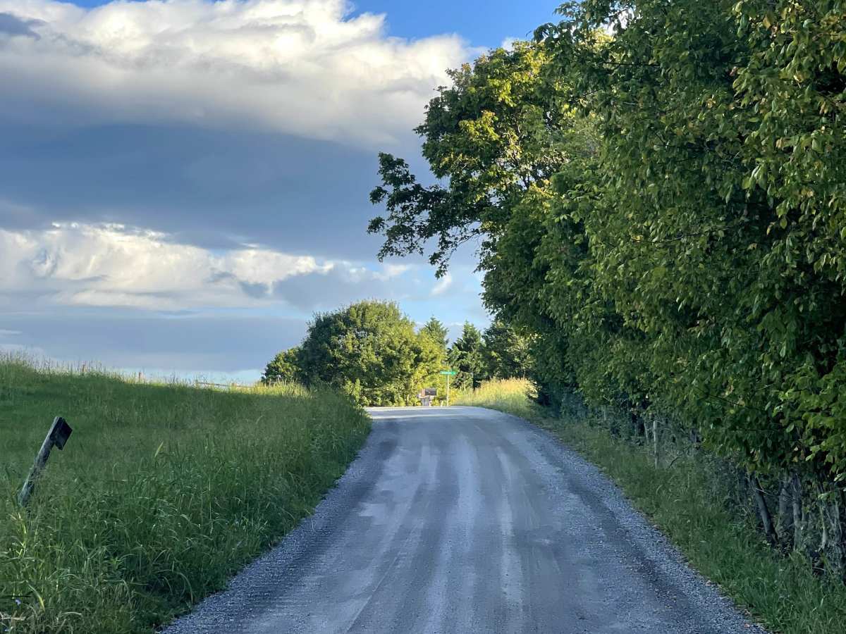 Steven's Road trail photo
