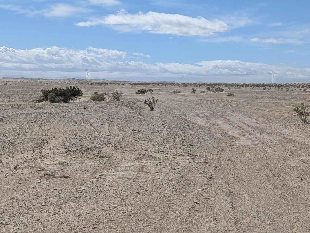 BLM 412 photo 3