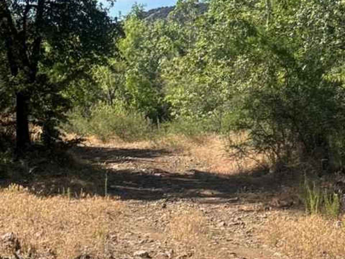 Rock Creek - FS 442 photo 2