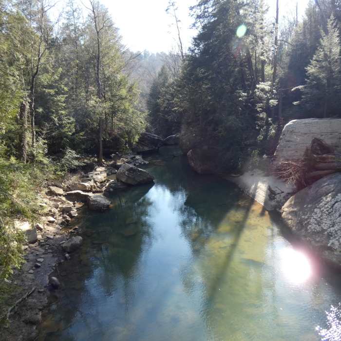 View along the Sipsey River Near Randolph - Sipsey Loop
