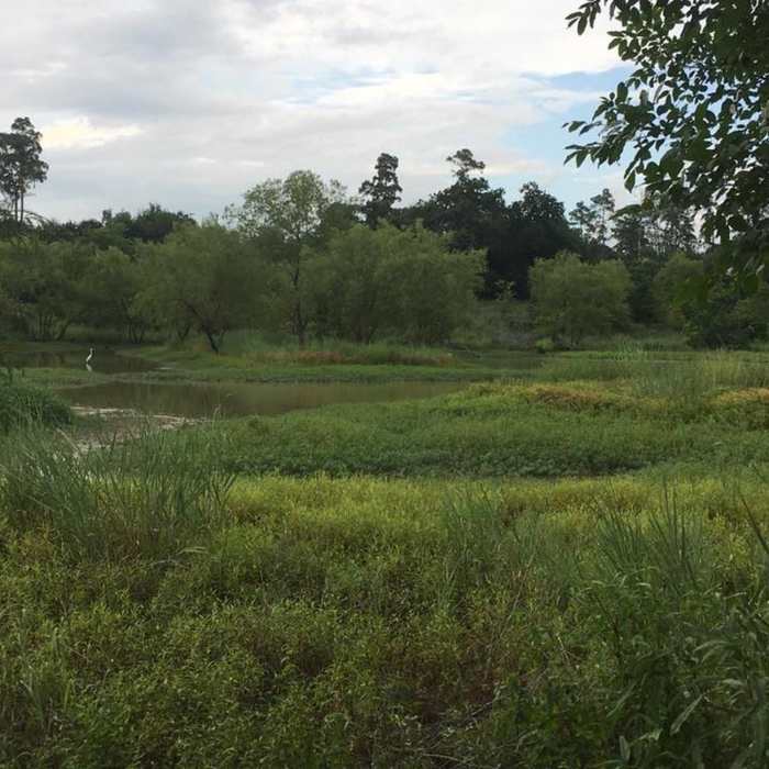 A pretty little reservoir between Cypresswood and Grant! Near Cypress Creek Trail