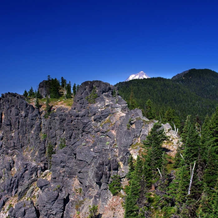 The view from near the end of the Fret Creek Trail Near Fret Creek Trail #456A