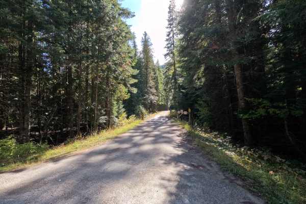 John’s Creek - FS 2200500