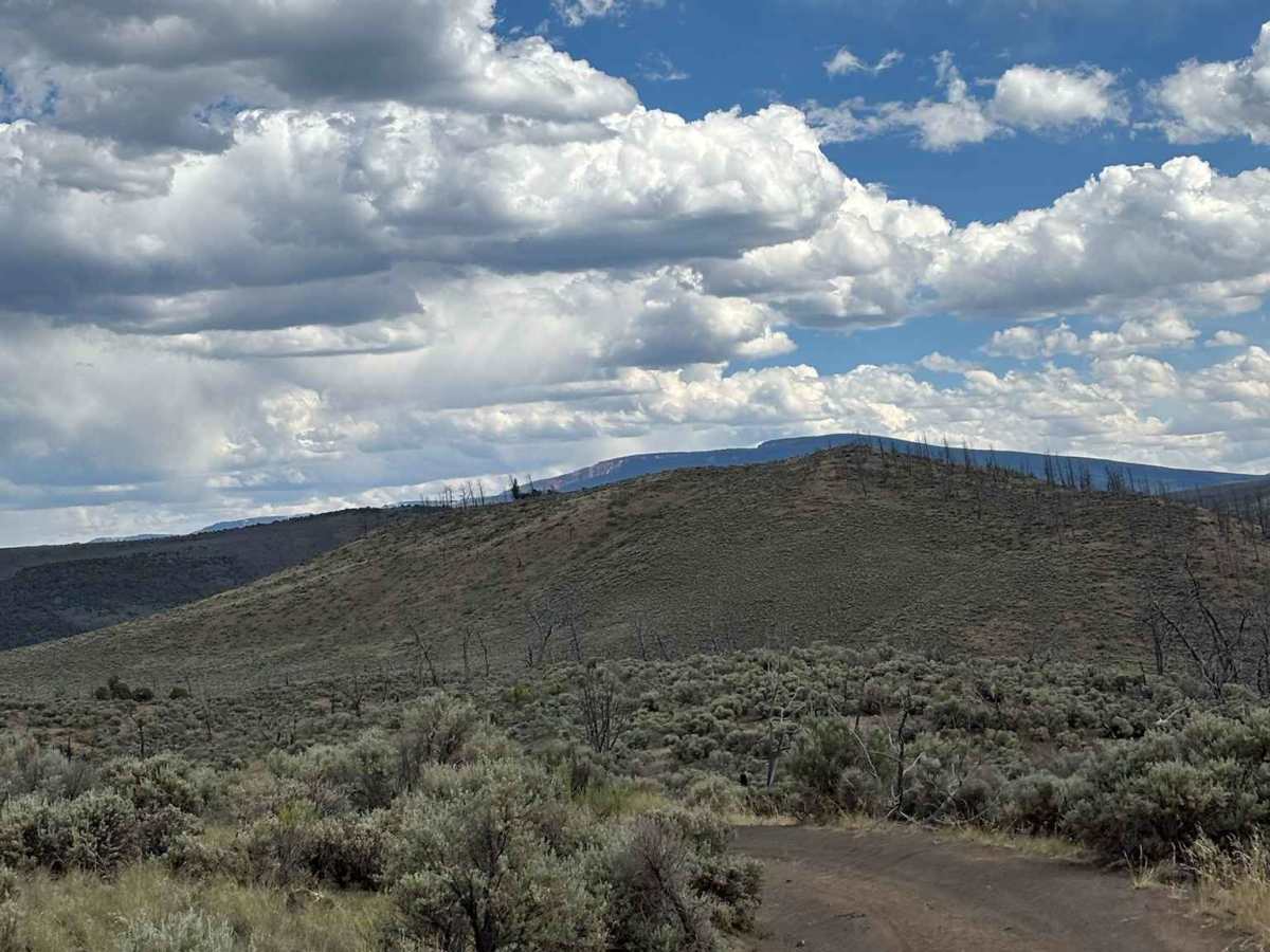 No Name Hill photo 2