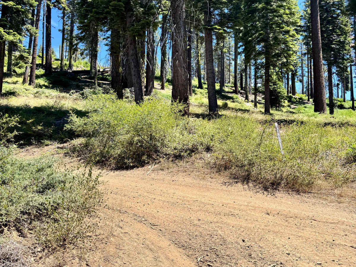 FS 18EV463 trail photo