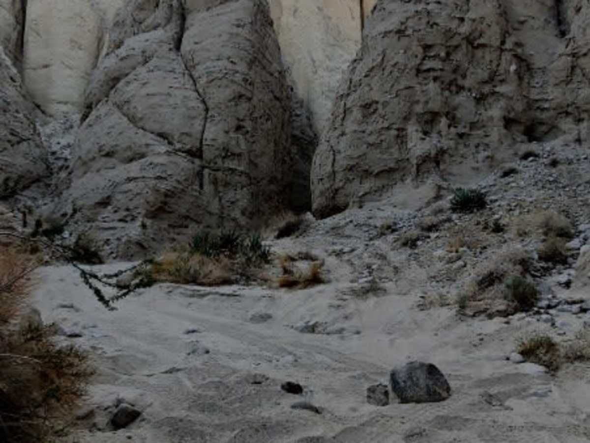 Olla Wash photo 4