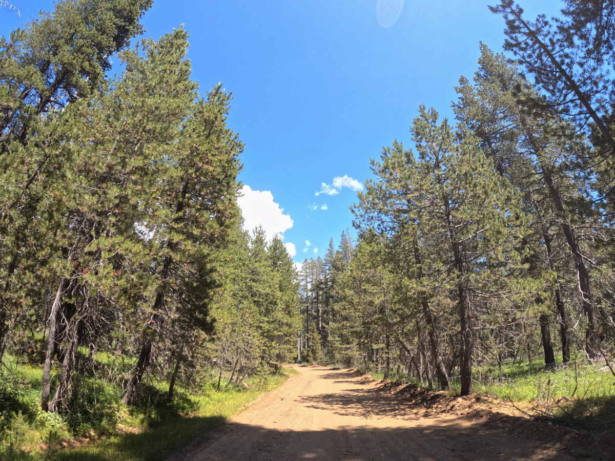 Church Creek - FS 28 photo 2