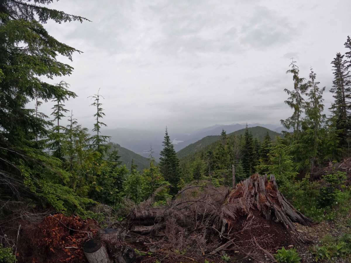 Leonard's Ridge - FS 1709 photo 4