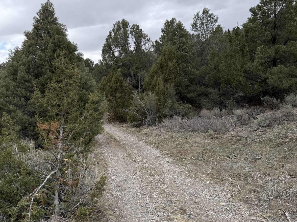 Miner's Canyon Road photo 4