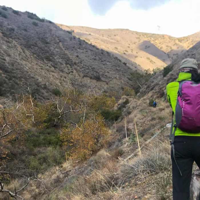 Near Silverado Trail to Bedford Peak