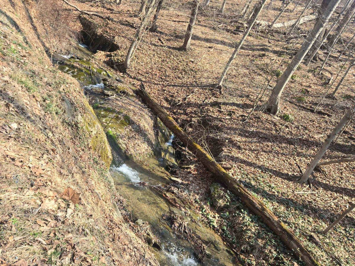 Spooner Road photo 5