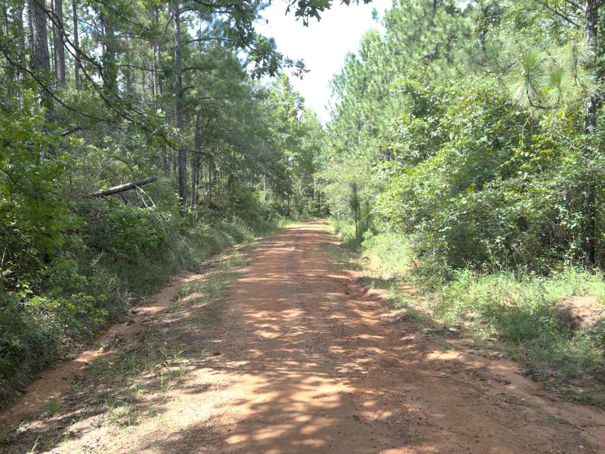 Dixie Road - FS 421 photo 4