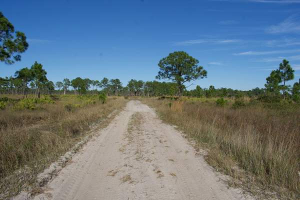 Road 8A