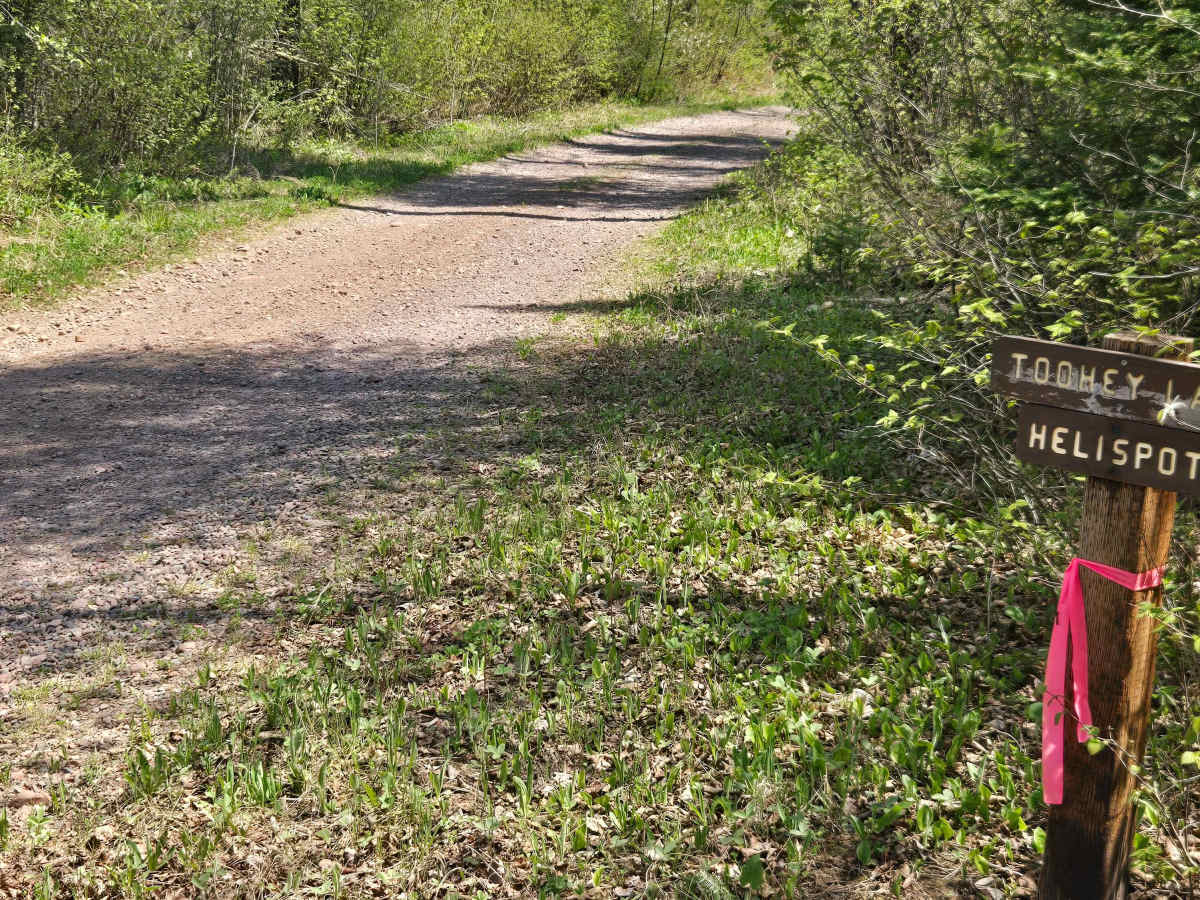 Wringer Lake Road photo 2
