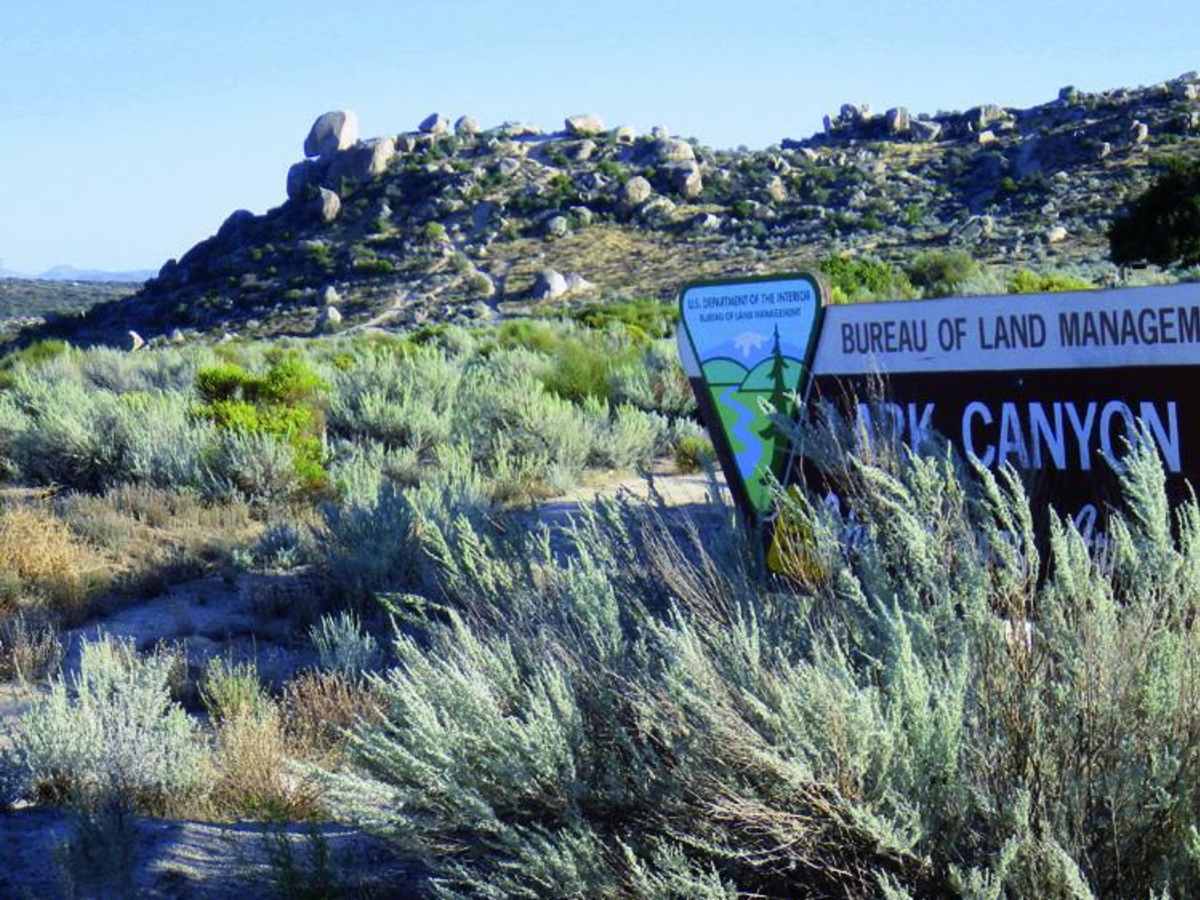McCain Valley Road photo 3