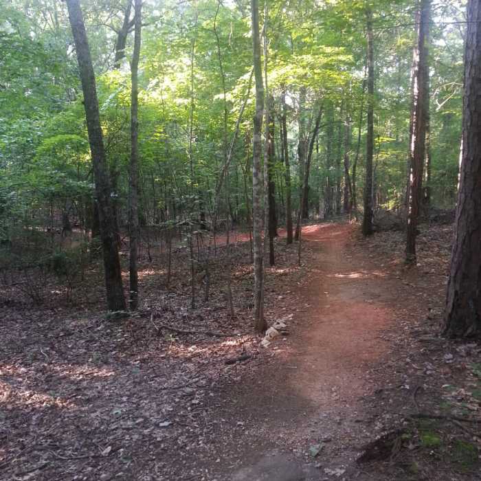 Winding section on Firebreak Near Firebreak Trail