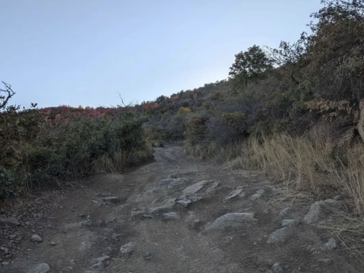 ATV2 / ATV4 to Cascade Springs Drive photo 4
