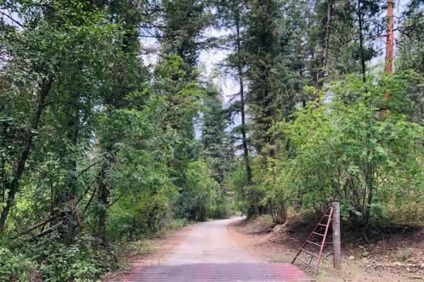 4th of July Trail