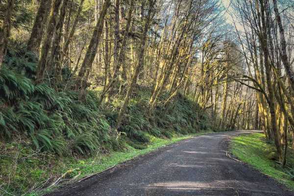 Hoag Pass Road