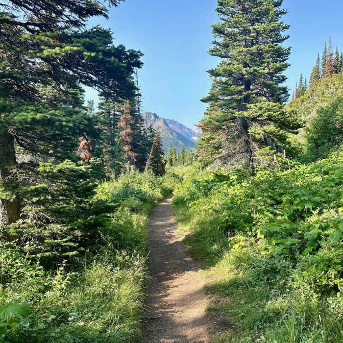 Near Continental Divide Trail: Dawson Pass Alternate