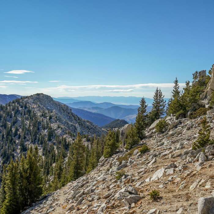 Near Ibapah Peak Near Ibapah Peak