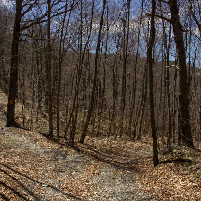 Near Berlin Mountain + Taconic Crest Trail Near Berlin Mountain + Taconic Crest Trail