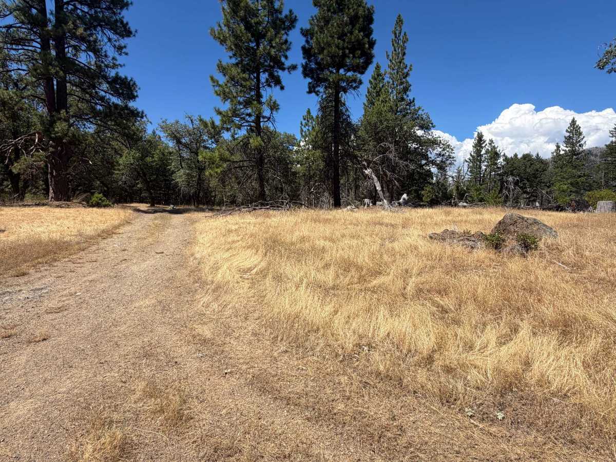 Howard Corral - FS 23N38 trail photo