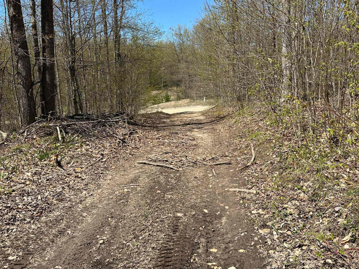 Cameron Bridge Cutover trail photo