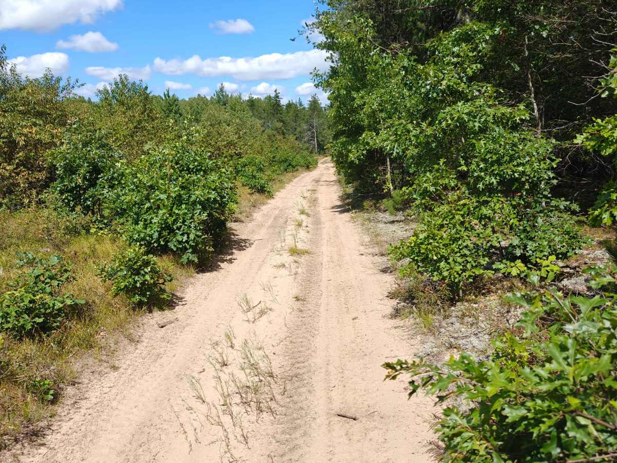 Everett Trail photo 2