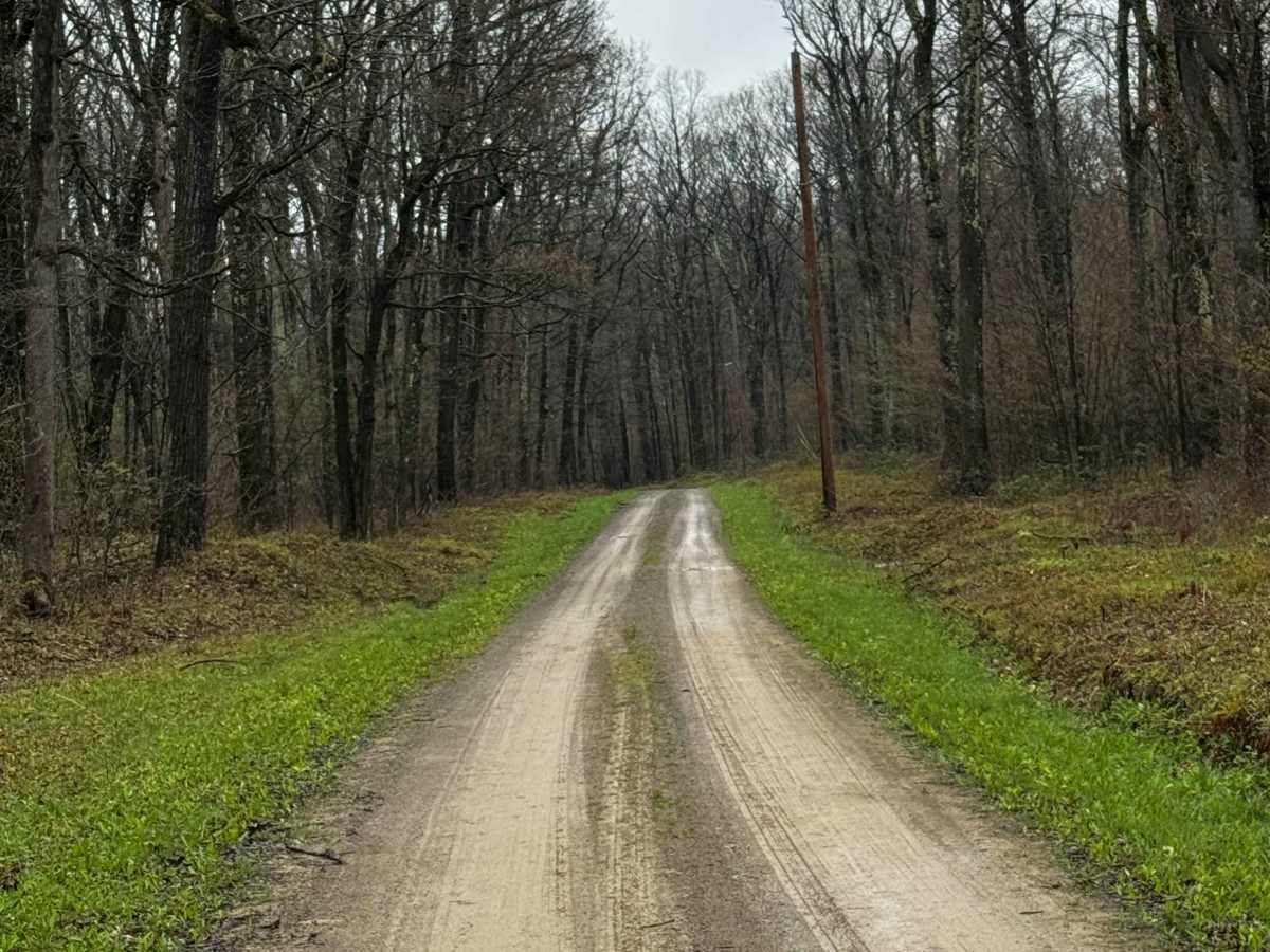 Schofield Road photo 5