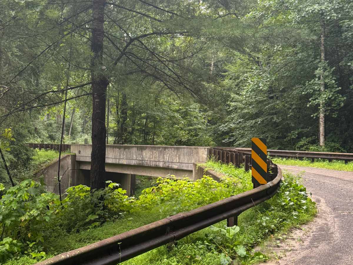 Little Bear Creek Road photo 4