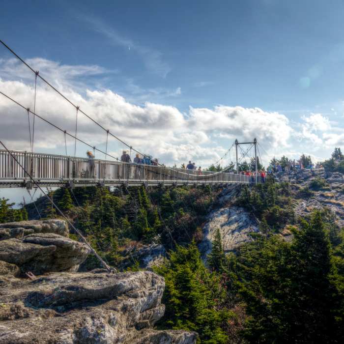 Near Bridge Trail