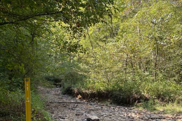 Trail 6 FFAT Boneyard