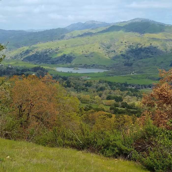 Near Dutch Flat Trail