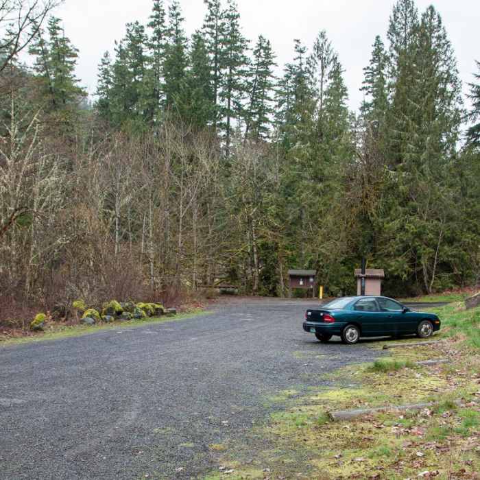 Near Clackamas River Trail