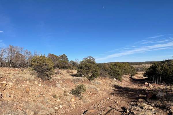 Coyote Canyon
