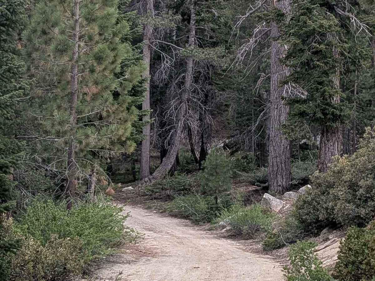 Big Meadow - FS 23S07 photo 5
