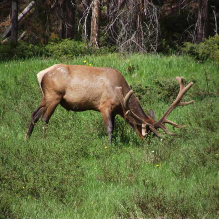 Near Coyote Valley Trail