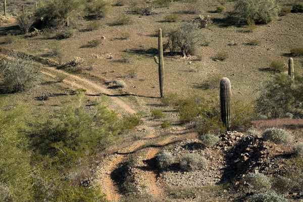 Saguaro Ridge 
