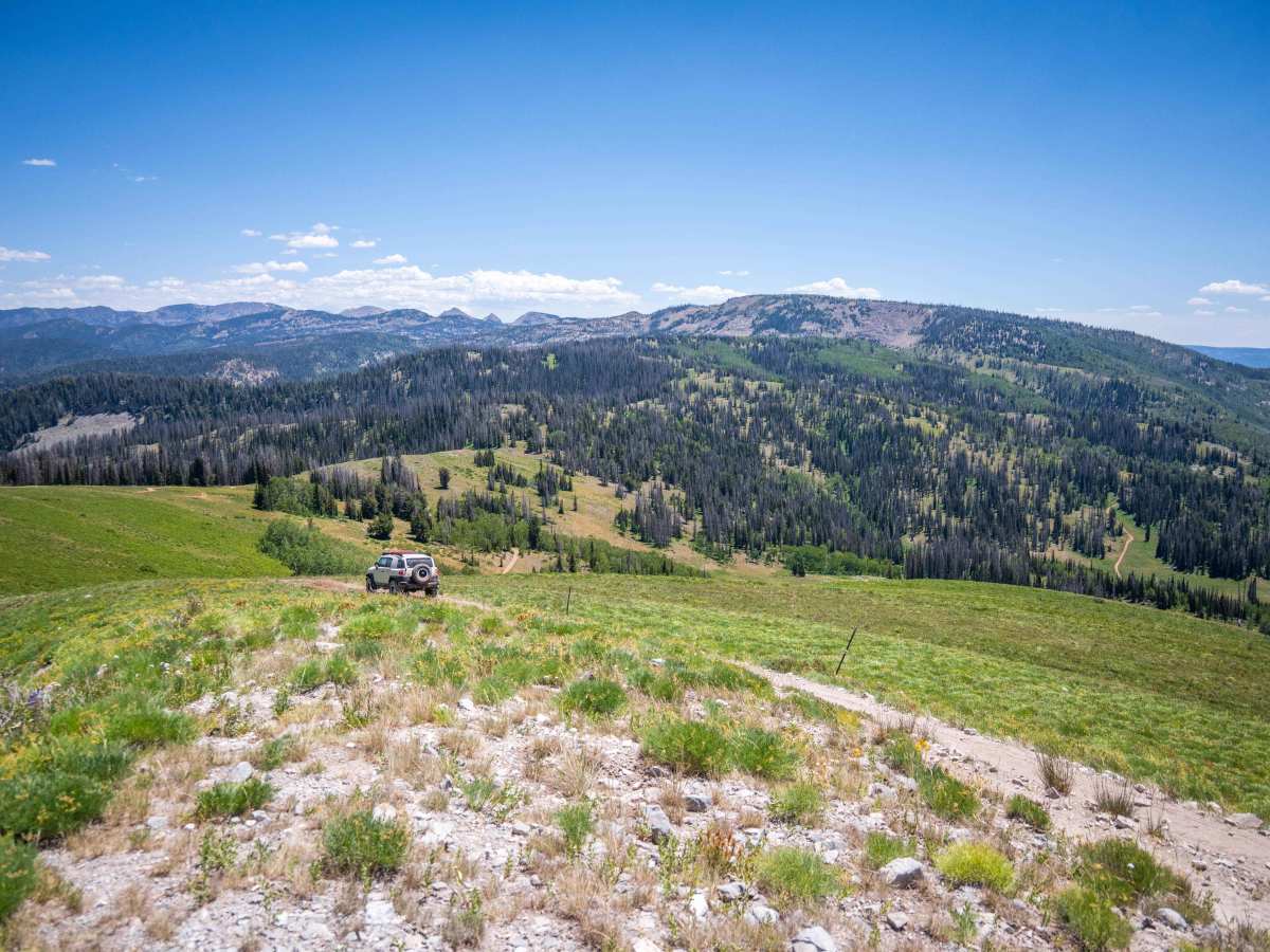 Hoyt Saddle Trail photo 3