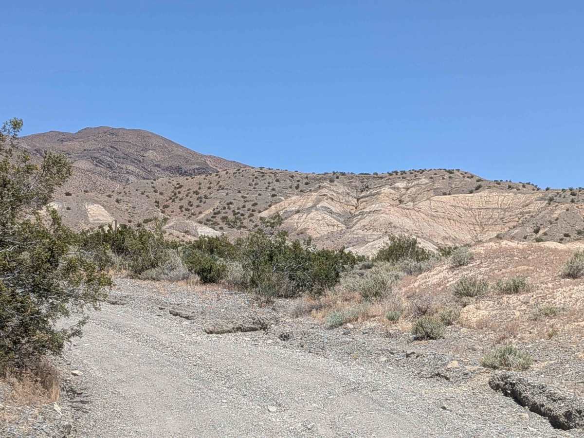 Mesquite Canyon South photo 2