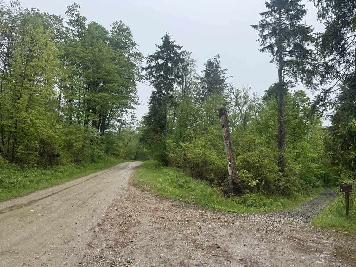 Country Road photo 4