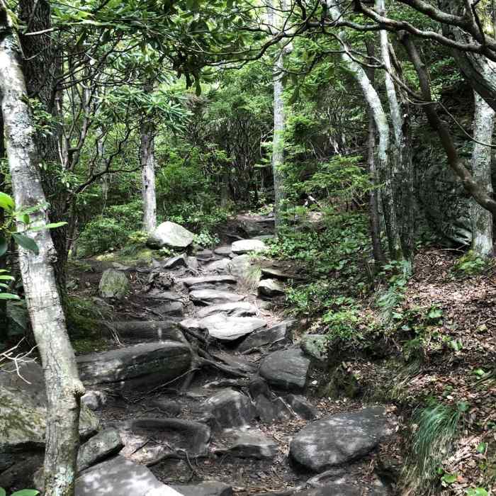 On the way up Near Tanawha Trail